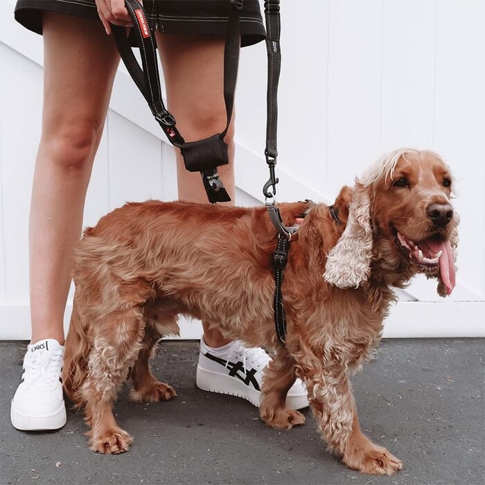EzyDog Anti-Pull Harness for Dogs - Crosscheck Dog Harness for Small, Medium and Large Dogs, Dog Training Accessories, Reflective, Adjustable Sizes (XS, Red)