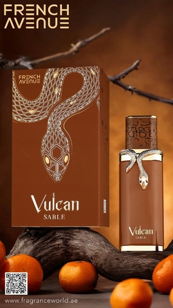 Парфумована вода для чоловіків French Avenue Vulcan Sable, 100 мл, EDP