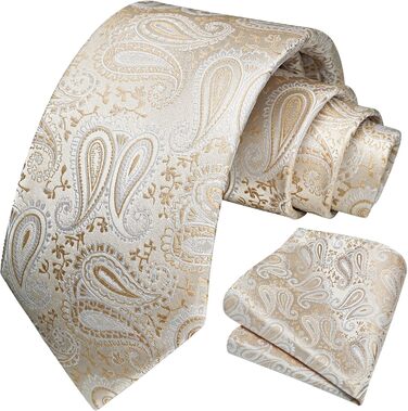 Кравка для чоловіків HISDERN: комплект краватки та нагрудного хустинки з павловушковим візерунком, формальна класична краватки для весілля, N-Бежевий