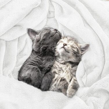 Плед Utopia Bedding: теплий та м'який флісовий плед 200x150 см для ліжка, дивана та крісла (білий)