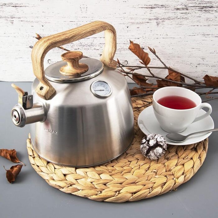 Електричний чайник зі свистком з нержавіючої сталі з термометром, 3.2 л