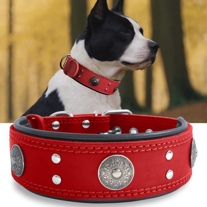 Leather Dog Collar, 5 cm Wide Robust Genuine Leather Collar, Handcrafted, Soft and Luxurious, Eye-Catching Best Choice for Large and Medium Dog Breeds (49.5-60 cm, red)