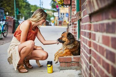 Hydro Flask 16 oz Stainless Steel Travel Coffee Mug - Insulated, Leak-Proof, Wide Mouth - Hibiscus Color