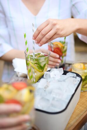 Контейнер для льоду Lékué, пластиковий бокс для заморожування кубиків льоду, 12x22x8 см, білий