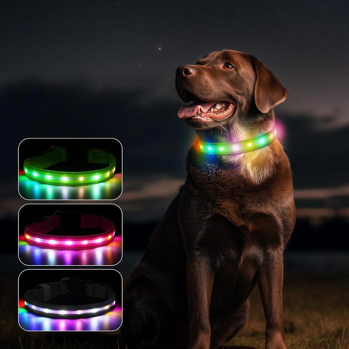 Світлодіодна нашийник для собак Feycig з USB-зарядкою - водонепроникний, регульований, 3 режими, для малих, середніх та великих собак (світло-зелений, M(38-50см))