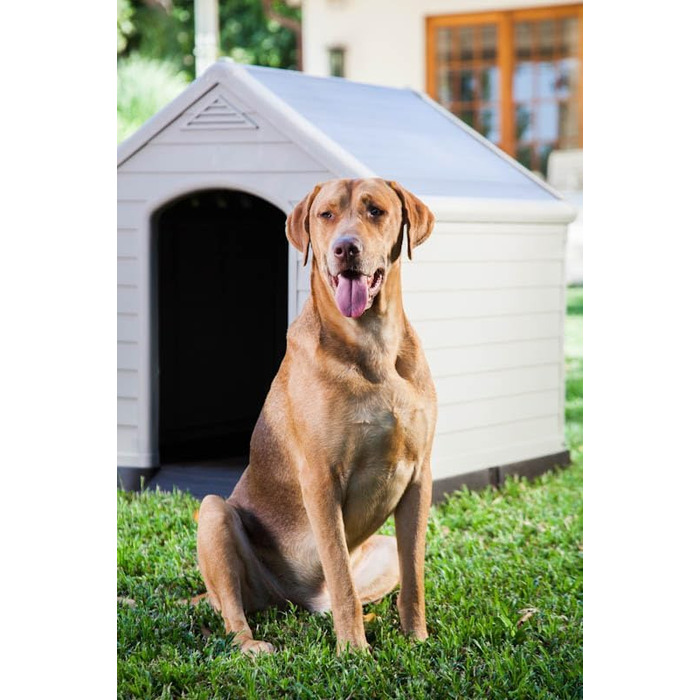 CURVER Dog House - Gray, Waterproof & UV Resistant - Recycled PVC - Large Dog Size - 95x99x99cm