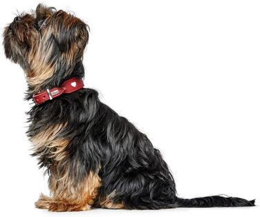 Нашийник для собак HUNTER Love, червоно-чорний, з м'якої шкіри, ручної роботи, розмір 42