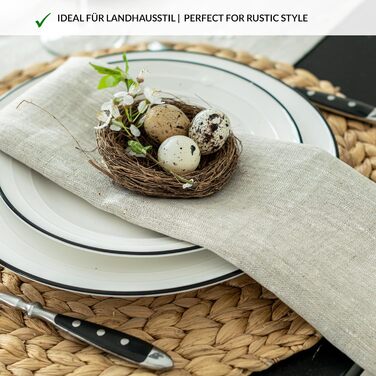 Varvara Home 6 Linen Napkins - 6 Cloth Napkins Linen Napkins - Natural Linen Napkins - Linen Napkins Beige 6-Pack 45x45 cm