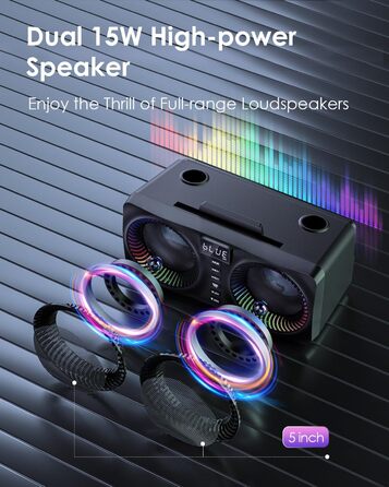 Караоке система All-in-One з Bluetooth, 2 мікрофонами та акустикою 30W, PA система для вечірок (Чорний)