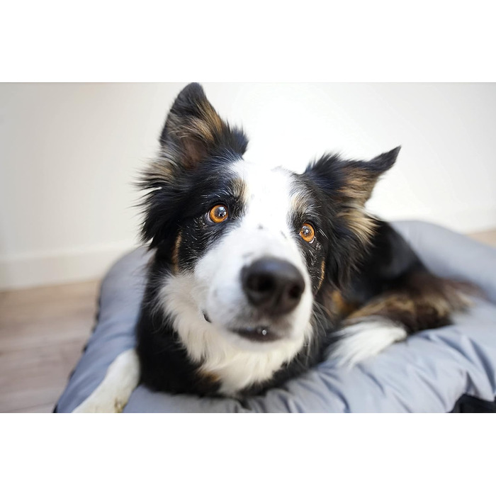 Ліжко для собак середніх порід 4L Textil KLEO, 90x70 см, водонепроникне, з блискавкою, темно-зелене/сіре