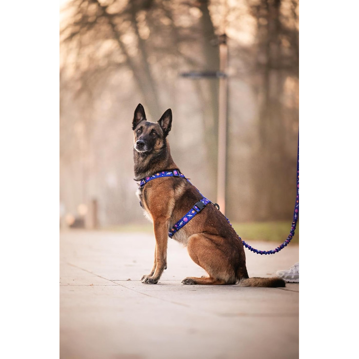 Шлейка для собак середніх порід | Не вбирає вологу | Регульована | З контролем | Легка класична шлейка для собак | Dog Harness - M (Cosmic Bloom, S - виміряйте собаку)