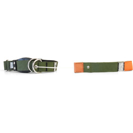 WowWow Professional Dog Collar with Leash - Khaki - Size M 37-46 cm, 195g light, innovative collar with integrated leash - known from 'The Lion's Den'