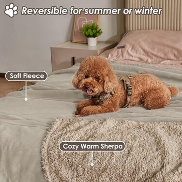 Водонепроникний плед для собак і котів, миючий, захисний, плюшевий, для великих собак, 150 x 120 см (XS 75 x 60 см, верблюжий/тауп)