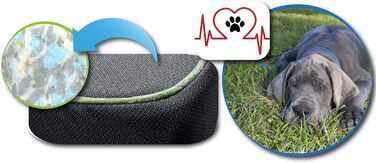 FORTISLINE Dog Mat Dog Bed OAHU Plus 2 Sizes 4 Colors (XL - 120x80x8cm, ) (XL - 120x80x8cm, Green)