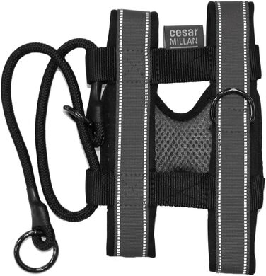 Pack Leader Collar™ - Dog Trainer Cesar Millan's Training Collar (Medium) (Gray, L)