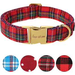 колір: гниль