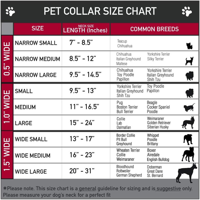 Нашийник для собак Peanuts Snoopy та Woodstock з пластиковою застібкою, блакитний, ширина 1,3 см, розмір S (17,8-21,6 см)