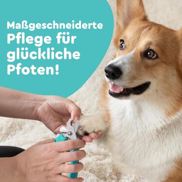 Ножиці для грумінгу собак та котів з високоякісним стопором для захисту від забруднень - включаючи стабільну фіксацію, професійні ножиці з міцної нержавіючої сталі