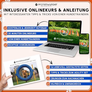 Набір для аджиліті для собак середнього розміру PfotenWunder®: 6 шлагбаумів, тунель, для тренувань, спорту та ігор. Підходить для малих та великих собак.