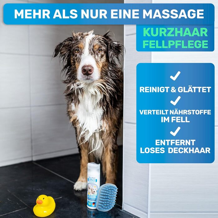 Гумова щітка для миття собак та котів BluePet з масажним ефектом - для короткошерстих порід | Видаляє відмерле волосся, пил та бруд