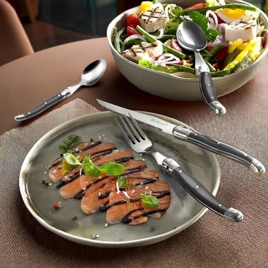 Набір столових приборів для стейка Lou Laguiole TRADITION (48 предметів) з нержавіючої сталі, антрацит, з кольоровими пластиковими ручками, на 12 осіб