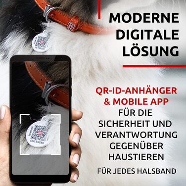 Стильний шкіряний нашийник для собак WAUDOG: для малих, середніх та великих порід, 20-25 см, ширина 8 мм, оранжевий