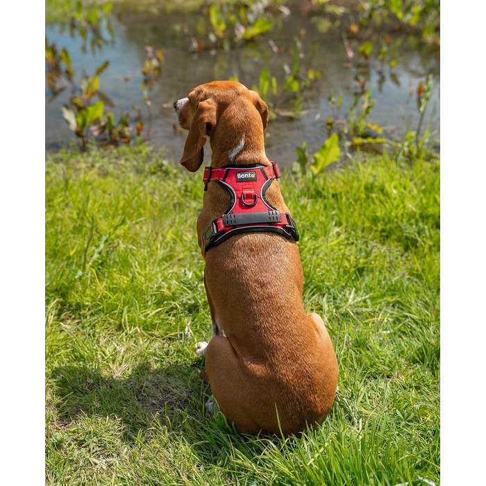Нашийник для собак Lionto з м'якого нейлону, світловідбиваючий, анти-тяга, з 2 кільцями та 4 ремінцями, двома застібками-кліпсами та гумовим ручним тримачем (S, Червоний)