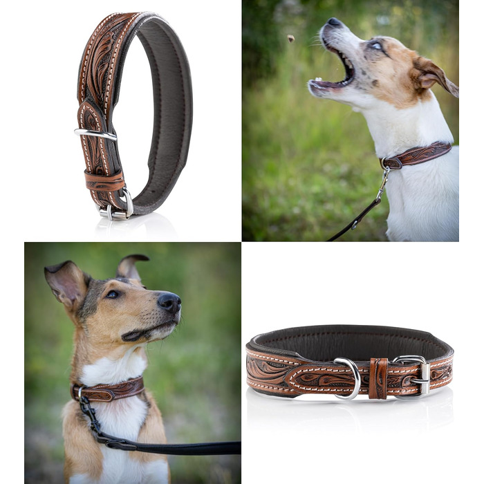 Нашийник для собак Джек Рассел з натуральної шкіри буйвола, ручної роботи, Talia (XL, 46-58 см)