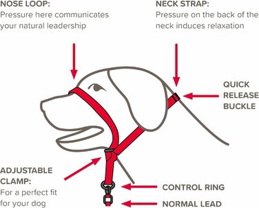 Напівшийовик Gentle Leader Beaphar для великих собак: зупиняє тягу, тренувальний помічник, чорний