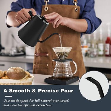 Електричний чайник-заварник зі сталевим гусячим носиком, 1л, 1200Вт, з регулюванням температури та функцією підігріву 24 години, чорний