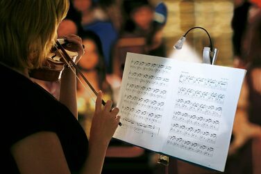 Лампа для читання та нот зі світлодіодом Wedo 2541054, срібляста (на батарейках)