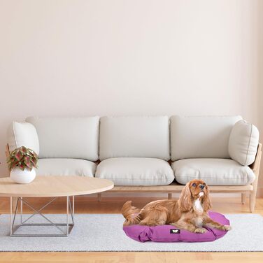 Крісло-ліжко для собак великих порід Ferplast: ортопедичне, знімний чохол, водонепроникне, 110 x 70 x 8 см, фіолетовий