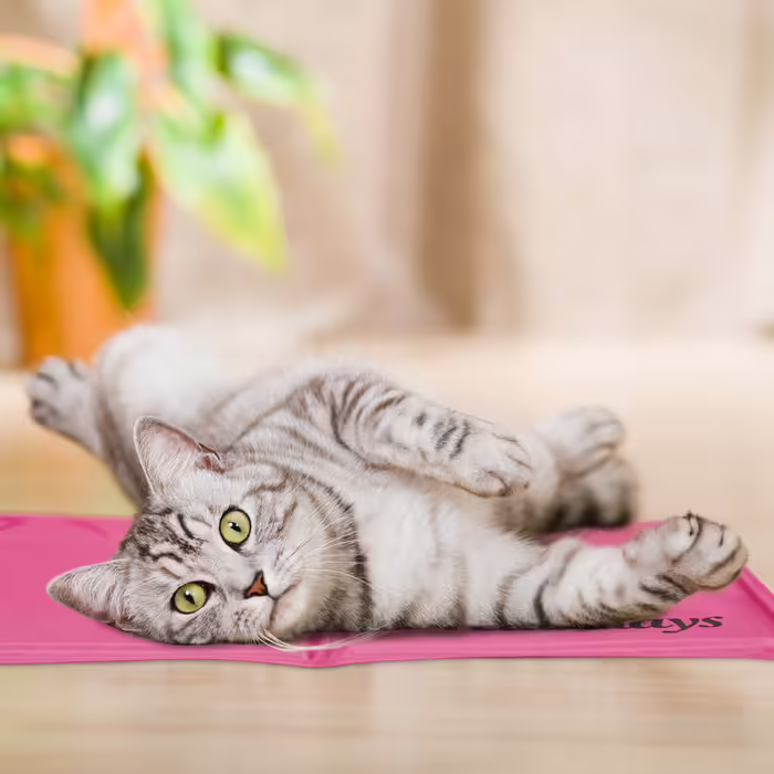 Relaxdays Cooling Mat for Dogs