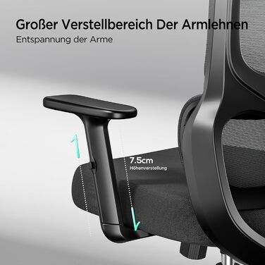 Hbada P2 Air Ergonomic Office Chair with Adjustable Lumbar Support, Height, Footrest, and 2D Headrest - Mesh Computer Chair, Swivel & Tilt Function, Black