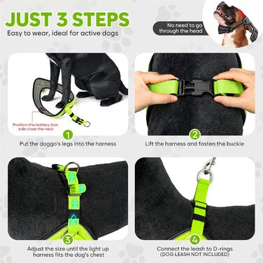 Світловідбиваючий поводок для собак середнього розміру BiPawTi, перезаряджуваний світловідбиваючий жилет для собак з 3 режимами освітлення - світлодіодна шлейка для собак, що світиться в темряві, для кемпінгу з собакою - зелене світло