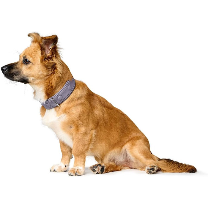 Нашийник для собак HUNTER SOHO X Love, фіолетово-сірий, з натуральної шкіри, м'який, з сердечками, для маленьких собак та цуценят, Made in Germany, розмір 42