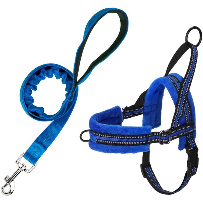 Нашийник для собак LowTon з повідком, анти-тягнучий, регульований, світловідбиваючий, для цуценят та малих/середніх собак, чорний (XS, Синій)