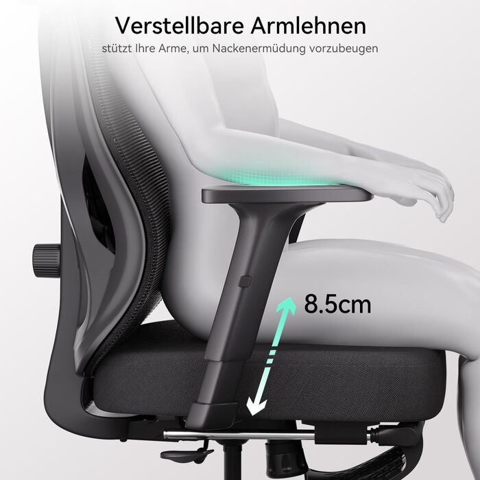 Hbada P5 Ergonomic Office Chair with Adjustable Lumbar Support, Breathable Seat Cushion, Footrest, Black Computer Desk Chair