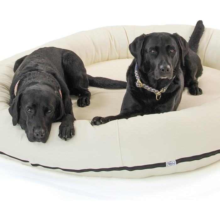 Wallace & Jones | Преміум лежанка для собак Болтон, 63x50 см, штучна шкіра, для маленьких собак, з прихованою блискавкою, миється, не слизька, (95 x 81 см, кремово-білий)