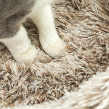 PawHut Драбина для котів 87 см висотою, котячий комплекс з ліжком, товстий стовп, котячий подряпальник з сизалевими стовпчиками, для котів вагою до 6 кг, для дому, коричневий | Aosom