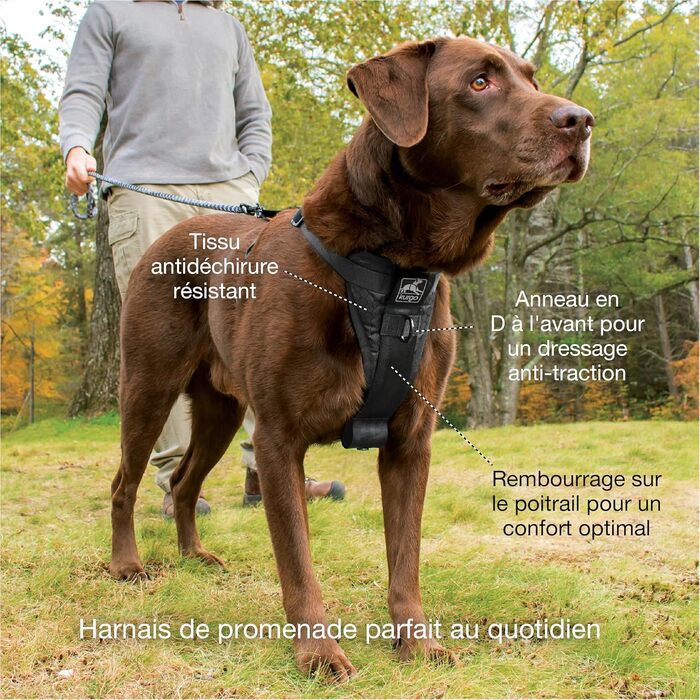 Шлейка для собак Kurgo TRU-Fit – анти-тягнуча, навчальна, з кріпленням для безпечного паску, чорна, розмір S