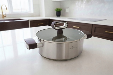 Каструля з кришкою TitanCore Zwieger, 24 см