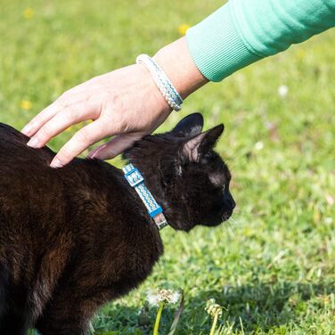 Нашийник для кота Pettsie з безпечною застібкою та браслетом дружби, міцна бавовна, D-подібне кільце для аксесуарів, регульований розмір 12,7-20,3 см, блакитний