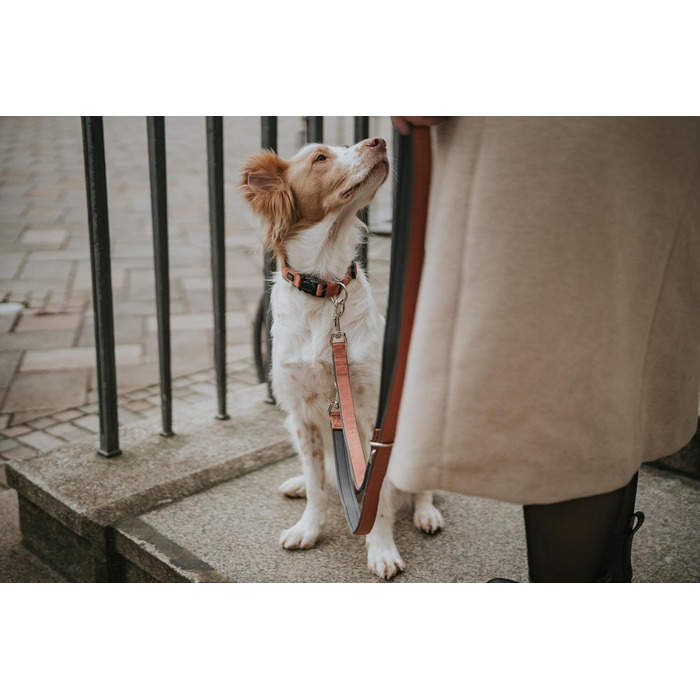 Нашийник для собак HUNTER Neopren Vario Plus, нейлон, неопрен, регульований, з поглинанням ударів, комфортний, розмір L/2,5