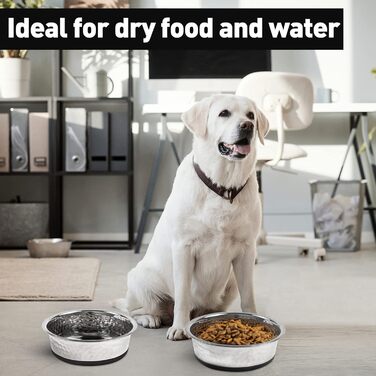 Набори мисок для собак великих, середніх та малих порід, 2 шт. з нержавіючої сталі з антиковзним силіконом, 22 см