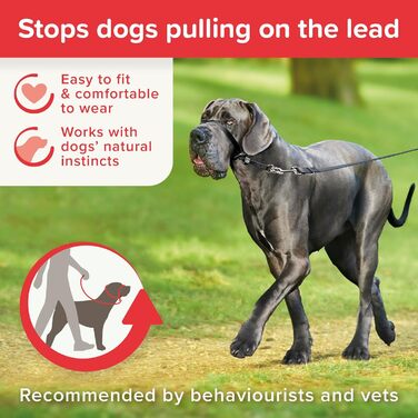 Напівшийовик Gentle Leader Beaphar для великих собак: зупиняє тягу, тренувальний помічник, чорний