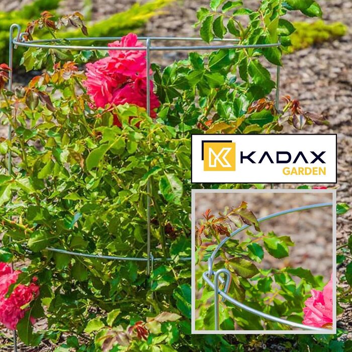Набір KADAX з 3 опор для рослин зі сталі з порошковим покриттям, підпірки для квітів і рослин, опора для витких рослин, для саду та балкона, висота 60,5 см