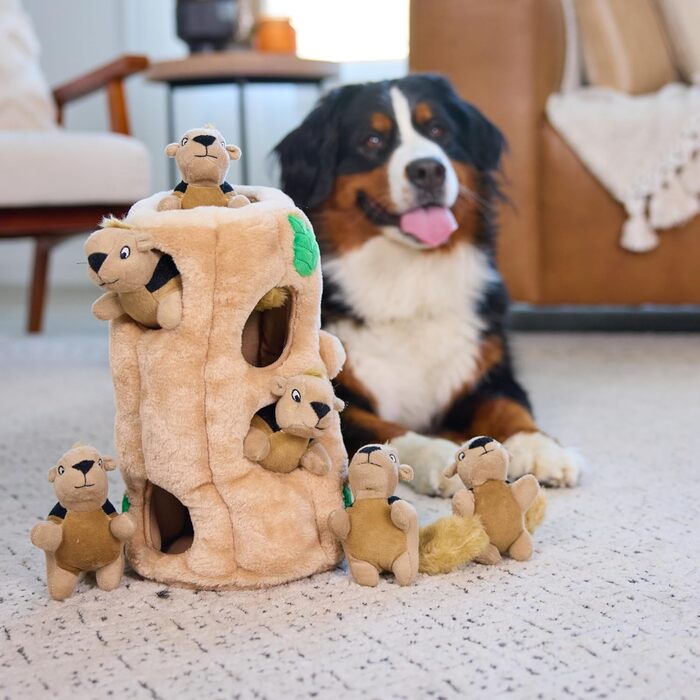Outward Hound Plush Dog Toy Hide A Squirrel, XL