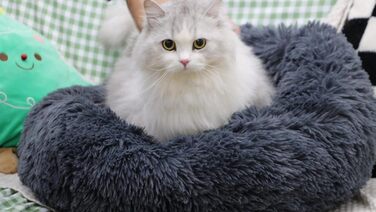 Килимок для котів Donwei, плюшевий лежак для собак, кругла подушка для котів, миючий плюшевий кошик для котів, лежанка для кошенят, диванчик для маленьких собак та котів (50 см, темно-сірий)