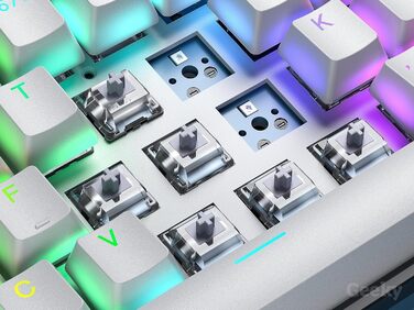 Geeky GK61: Механічна ігрова клавіатура 61% з RGB підсвічуванням | Hot-Swap | ANSI US | Speed Silver Switch (Чорний)